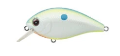 SH-3 Squarebill Crankbait -The Fiy Fishers Fly Shop SH3Championshad