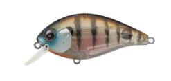 SH-3 Squarebill Crankbait -The Fiy Fishers Fly Shop SH3GhostBabygill