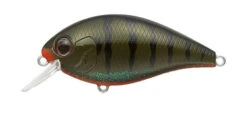 SH-3 Squarebill Crankbait