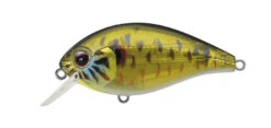 SH-3 Squarebill Crankbait -The Fiy Fishers Fly Shop SH3skeletonpumpkinseed