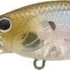 Lucky Craft Slim Shad D-9 -The Fiy Fishers Fly Shop SSDD9 238GMN