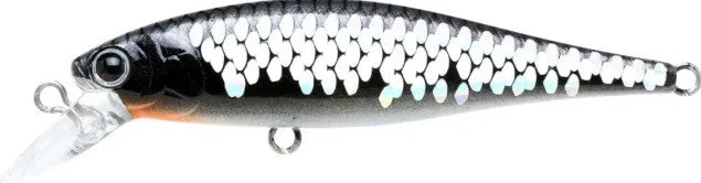 Lucky Craft BFreeze 65SP 17 Lucky Craft BFreeze 65SP - Image 15