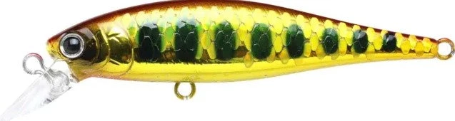 Lucky Craft BFreeze 65SP 19 Lucky Craft BFreeze 65SP - Image 17