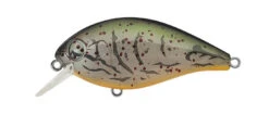 SH-3 Squarebill Crankbait -The Fiy Fishers Fly Shop Sh3Albinocraw