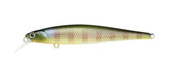 Lucky Craft Slender Pointer -The Fiy Fishers Fly Shop Slender Pointer BE gill