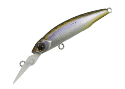 Still Area Tuned -The Fiy Fishers Fly Shop Still22