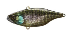 Jackall TN 50 -The Fiy Fishers Fly Shop TN50 Holo Bluegill