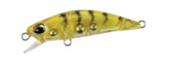 Tetra Works Toto 42S 19 Tetra Works Toto 42S -The Fiy Fishers Fly Shop TW TOTO 42S CCC0312 GoldShrimp