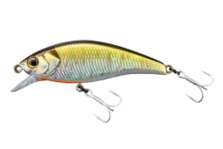 Timon Tricoroll Mai -The Fiy Fishers Fly Shop TennesseeBH