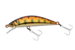 Timon Tricoroll HW -The Fiy Fishers Fly Shop TimonHLCopperyamame