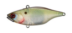 Jackall TN Disk Knocker 21 Jackall TN Disk Knocker -The Fiy Fishers Fly Shop Tn DK To Muddy Shad 1