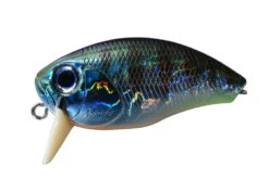 Buzzin' Crank Heavy Hitter -The Fiy Fishers Fly Shop TsuresuGill