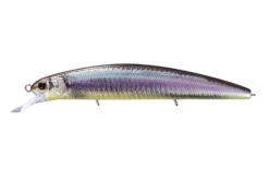 Varuna Spec 2 33 Varuna Spec 2 -The Fiy Fishers Fly Shop VarunaRp91 8469e2fe 23a6 4b5a a13e dff61bef8a98