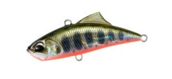 Spearhead Ryuki Vibe -The Fiy Fishers Fly Shop Vibe Yamame Red Belly