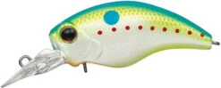 WH-3 Crankbaits -The Fiy Fishers Fly Shop WH3 CHampion Shad