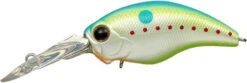 WH-5 Crankbaits -The Fiy Fishers Fly Shop WH5 Champion Shad