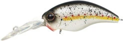 WH-5 Crankbaits -The Fiy Fishers Fly Shop WH5 King Shad