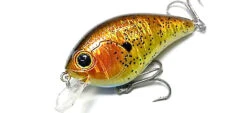 Warloq -The Fiy Fishers Fly Shop Warlock ShineBream 600