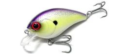 Warloq -The Fiy Fishers Fly Shop Warlock TableRockshad 600