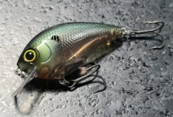 Warloq -The Fiy Fishers Fly Shop WarloqPahntomShad