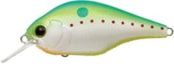 Zeruch -The Fiy Fishers Fly Shop ZeruchChampionShad271