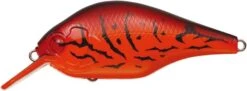 Zeruch -The Fiy Fishers Fly Shop Zeruch Fire Craw