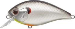 SH-3 Squarebill Crankbait -The Fiy Fishers Fly Shop bigbiteshad