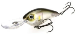 Strike King Pro Model 8XD Crankbaits -The Fiy Fishers Fly Shop clearwater minnow