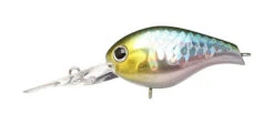 Lucky Craft Clutch Series -The Fiy Fishers Fly Shop clutch japan shad