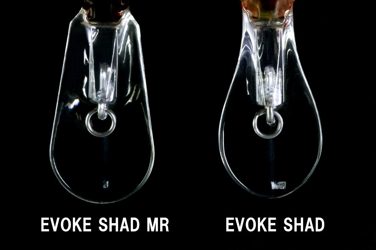 Evoke Shad MR 11 Evoke Shad MR - Image 9