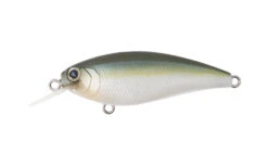 Reazzy -The Fiy Fishers Fly Shop eazzy002