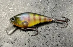 Lucky Craft Fat CB BDS 3 -The Fiy Fishers Fly Shop image f2fded93 6822 4626 b431 99aebdefceec