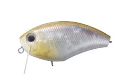 Daibuzzin -The Fiy Fishers Fly Shop img h23 33c29910 2a4a 44c4 917f 387f85da0a0e