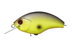 Rattling Blitz -The Fiy Fishers Fly Shop img p20