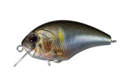 Tiny Blitz -The Fiy Fishers Fly Shop img rp39 8a14756e 5d98 4ce3 be92 16463edb7780