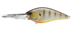 Lucky Craft SKT Magnum 120 Mag DR Crankbaits -The Fiy Fishers Fly Shop nasty bluegill