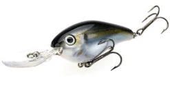 Strike King Pro Model 8XD Crankbaits -The Fiy Fishers Fly Shop natural shad