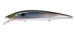 Jackall Rerange -The Fiy Fishers Fly Shop rerangesilvershad