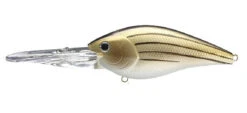 Lucky Craft SKT Magnum 120 Mag DR Crankbaits -The Fiy Fishers Fly Shop tx yellow bass
